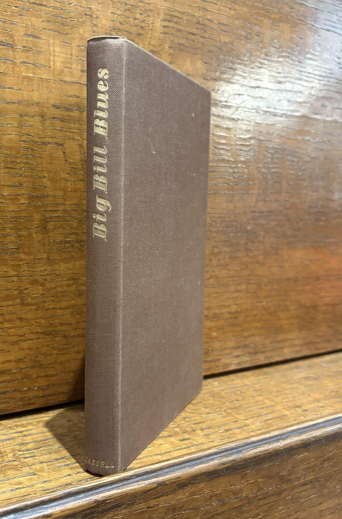 Big Bill Blues: William Broonzy's Story